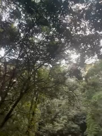 Nature video