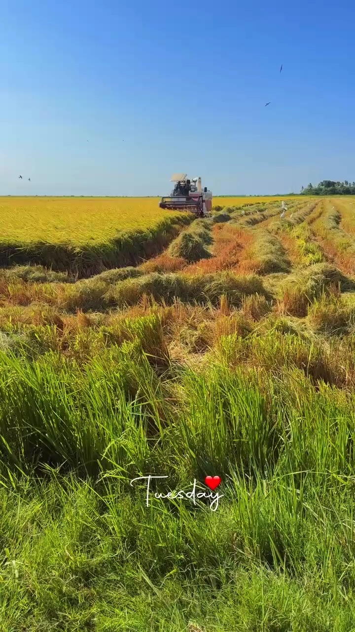 Farming