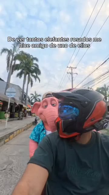 No son tan malos como pensé 🤙🏽