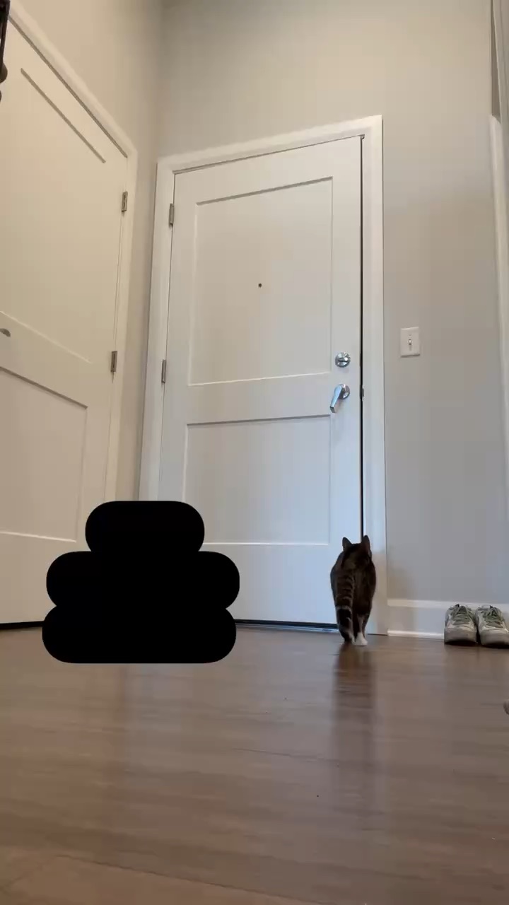Tripod review