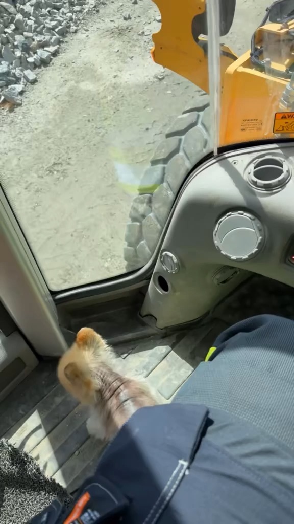 Work trucks