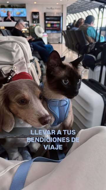 INFO DE VALOR👇🏽 Si eres colombiano y quieres llevarte a tu bendición contigo de viaje, este es para ti Mi caso part...