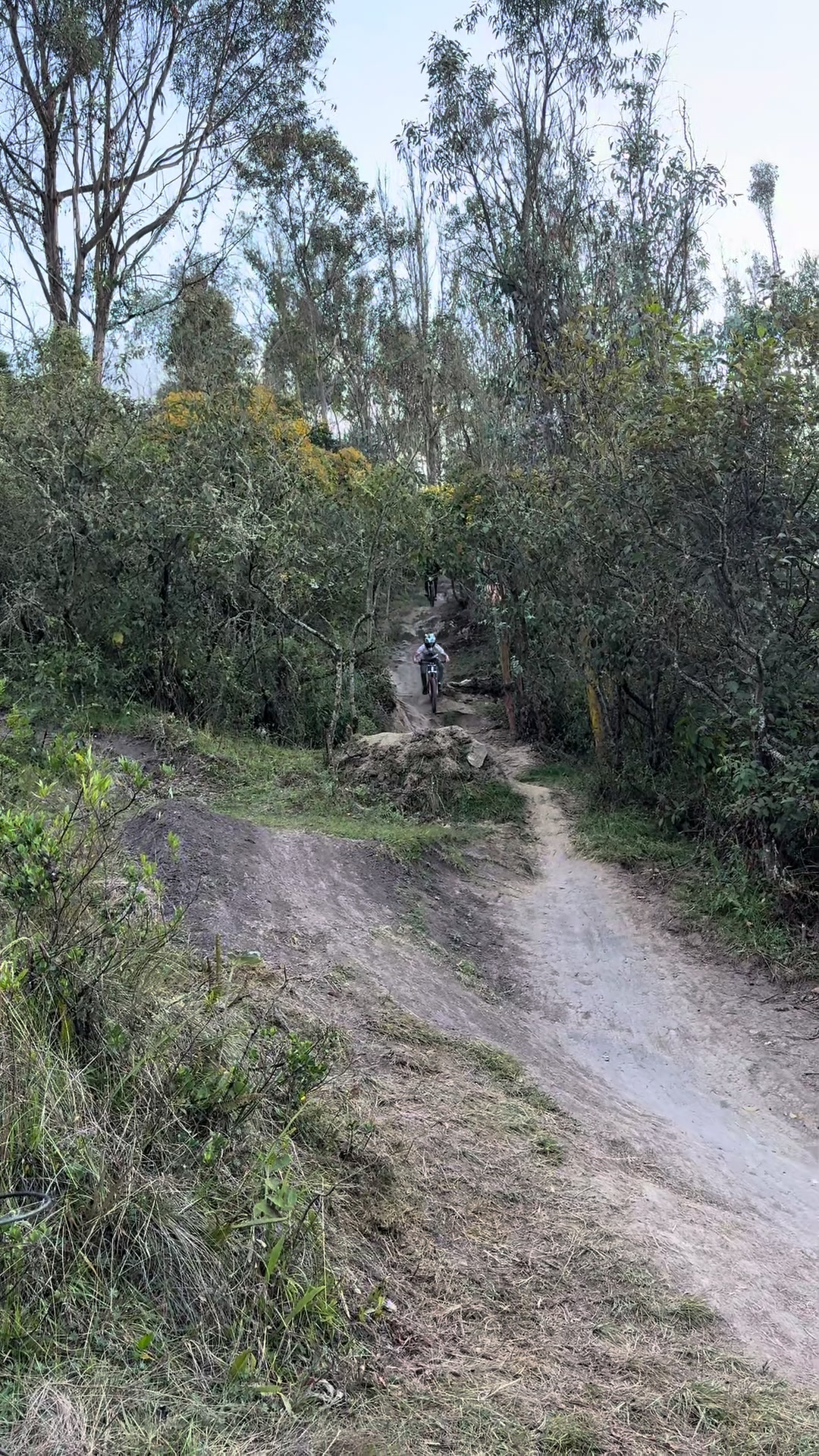 #dh #turi #downhill #mtb #Whips #🚵#M