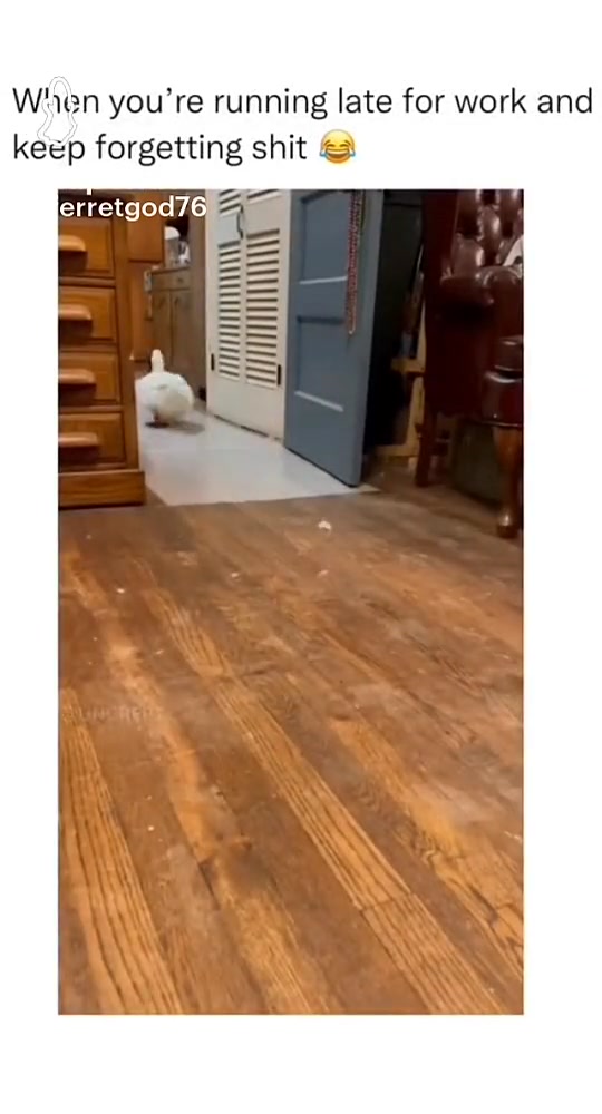 TikTok post