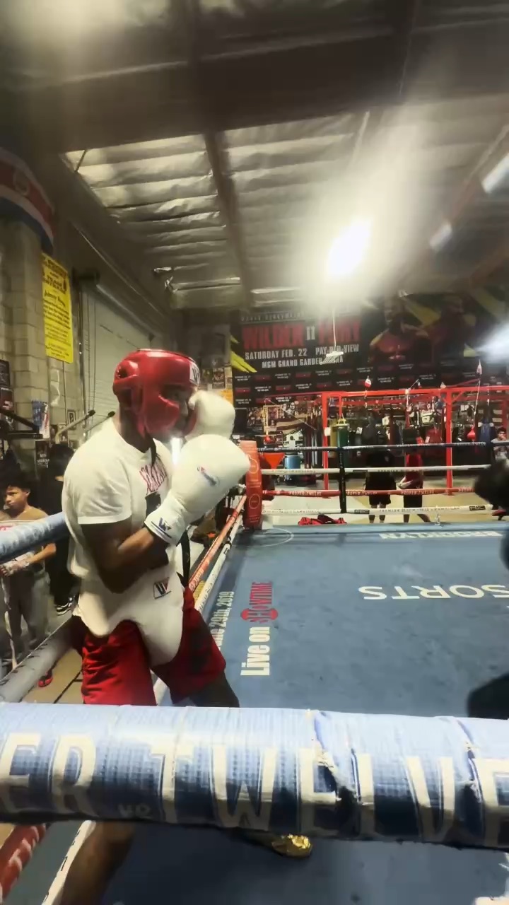 The ART OF BOXING