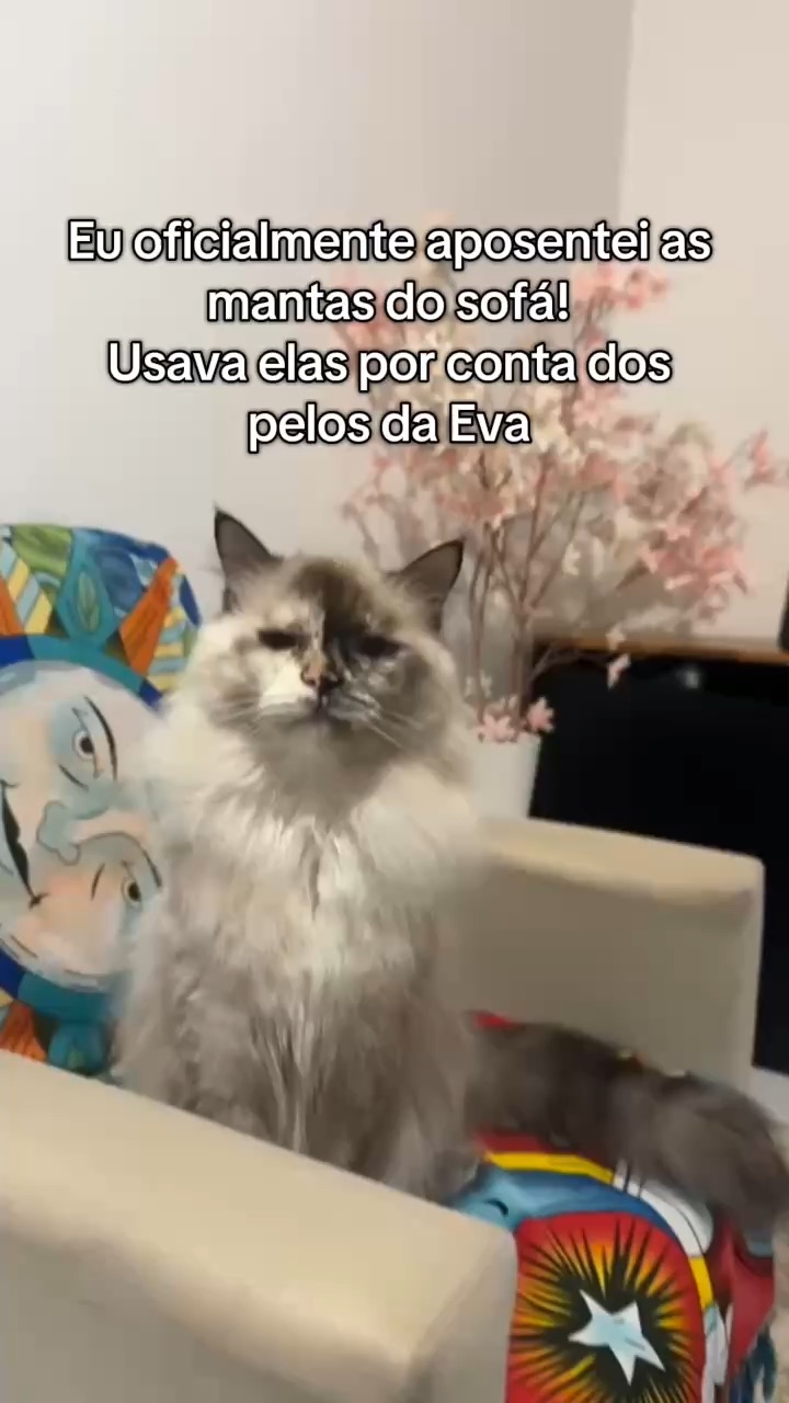 Nicho Pets