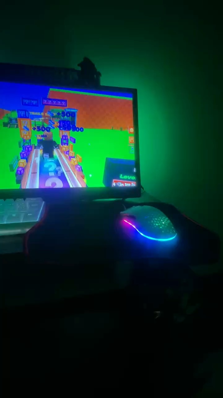 Roblox setup