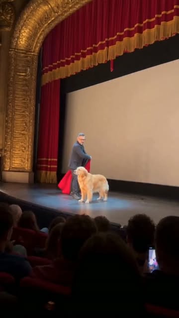 Just a sheet, a few snaps… and magic does the rest. 🪄🐕 How far can this trick go? 👀