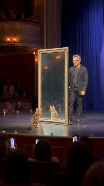 This cat magic trick turned into a lion 🐱🦁✨ Did you figure out the illusion before the end?