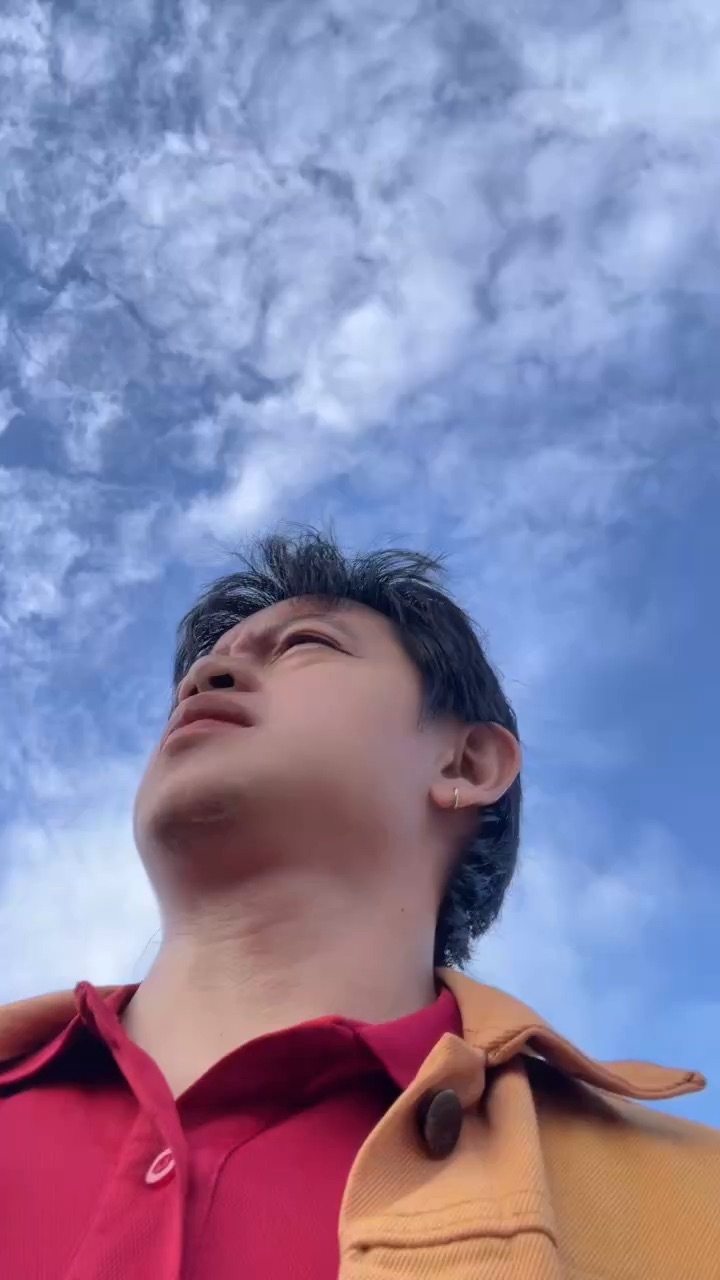 Fly