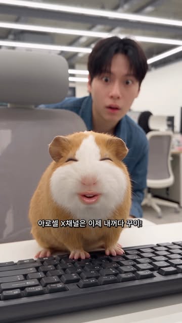 김꾸이 드디어 취뽀 성공했다 꾸이 아로셀 X 채널 접수 완료 🚨 분명 인턴으로 들어왔는데 어쩌다 보니 채널까지 강탈해버림 아로셀 긴장타라 꾸이 💜 꾸이의 아로셀 입성을 기념해서 EVENT도 하나 준비했다 꾸...