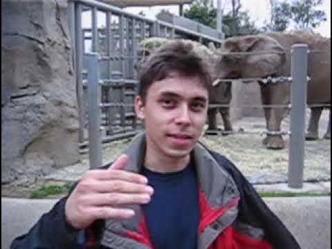 Me at the zoo Microplastics are accumulating in human brains at an alarming rate • Microplastics are accumulating in...
