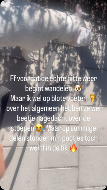 Hot hot hot 🔥 ikzelf vind het heerlijk hoor die hitte 😂 maar betreft dieren ben ik altijd voorzichtig. Wij hebben d...