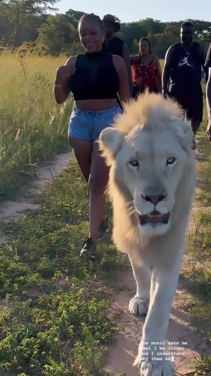 👑 my King 🦁 #trending #dubai🇦🇪 #kenyantiktok🇰🇪 #creatorsearchinsights