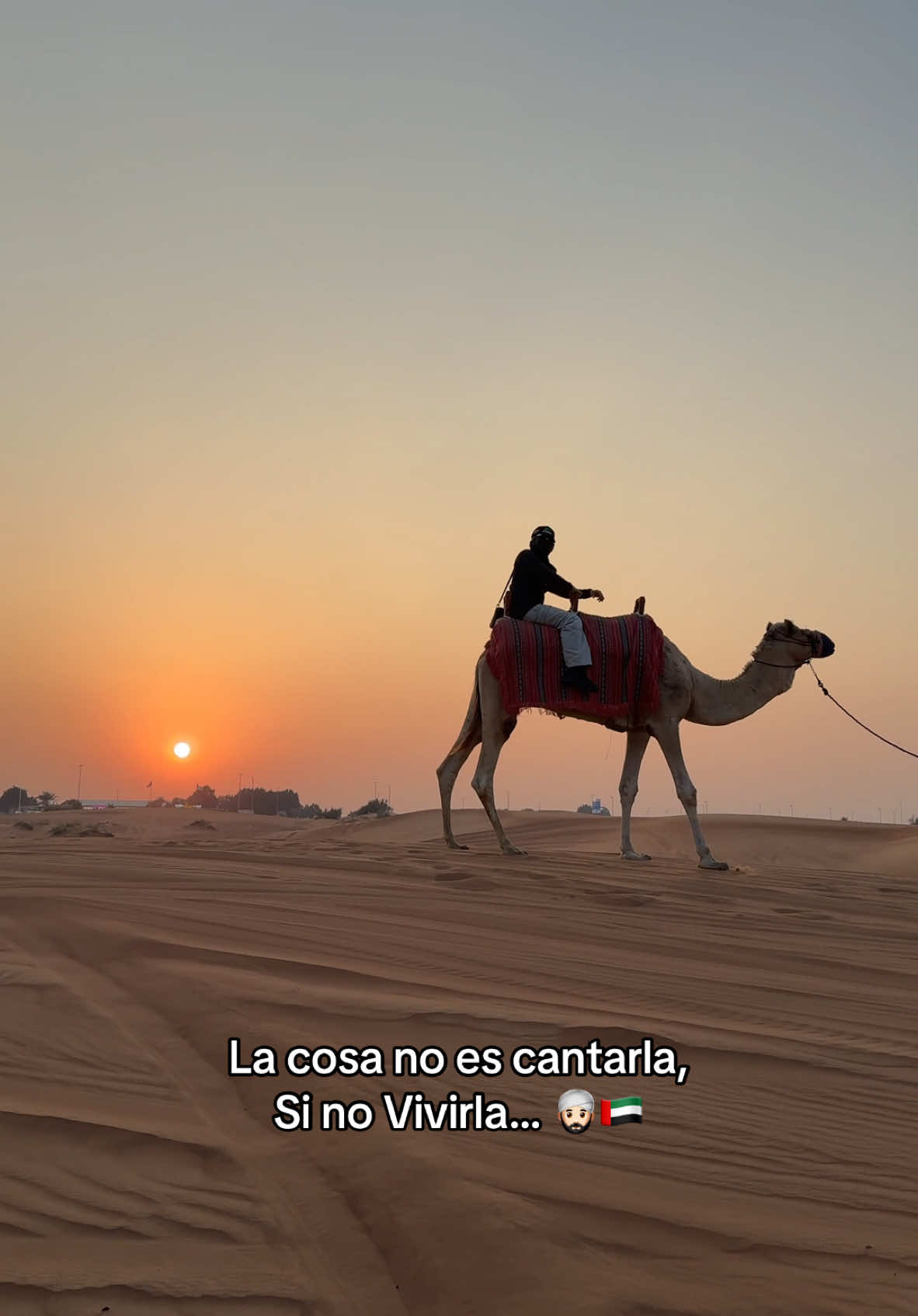 Como Aladín 👳🏻‍♂️🇦🇪 #dubai #gallofino #viral #pesopluma