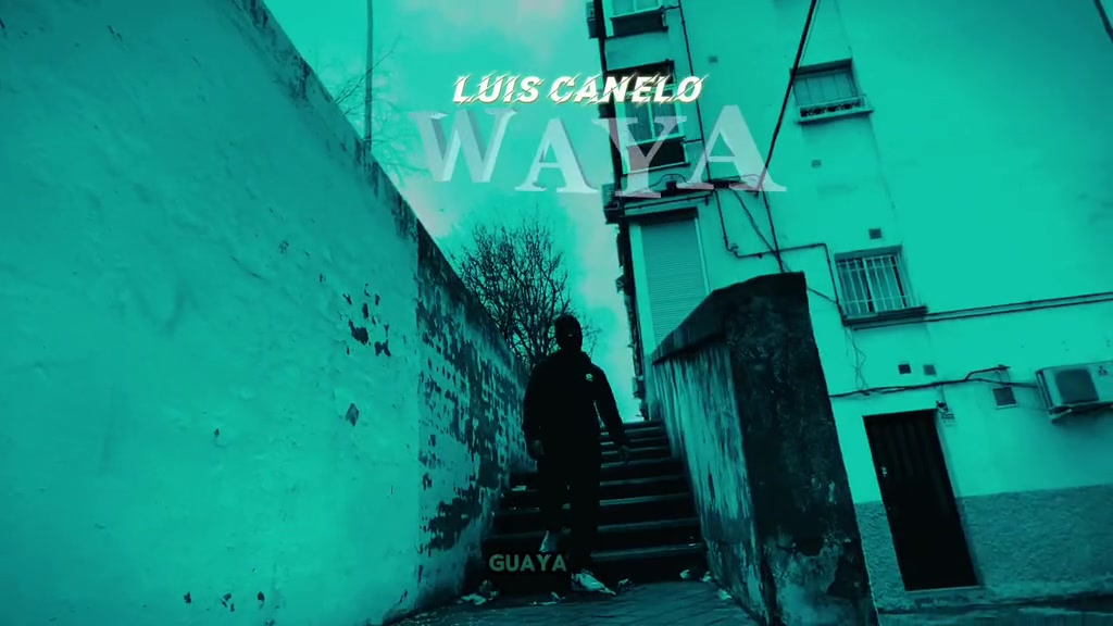 NUEVO VÍDEO DISPONIBLE EN YOUTUBE! 🎉 Link en mi Biografía🔗 👉👉 #WAYA #luiscanelord #reggaeton #nuevotema #musicaur...
