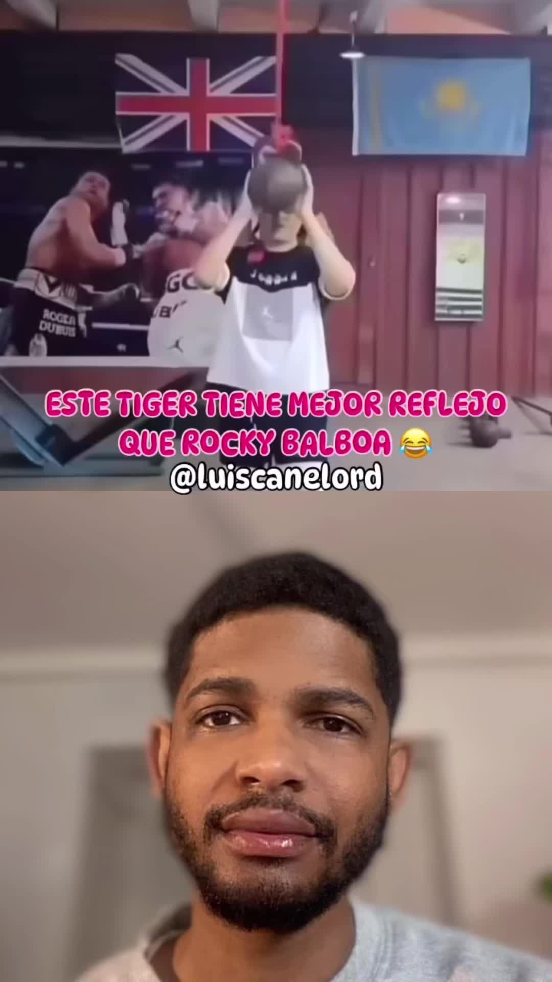 ESTE TIGER TIENE MÁS REFLEJO QUE ROCKY BALBOA 😂 #chukylunyteo #quepelicula #luiscanelord #videos #funny #losmejores...