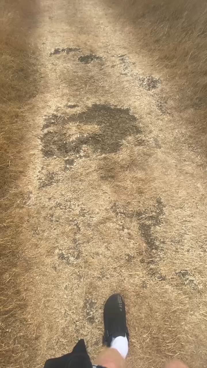 Shots from camping