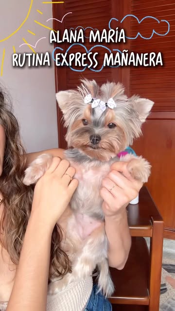 De bolita de pelos despeinada a quedar lista para el día. 💜✨ Les comparto el paso a paso de la rutina exprés que le...