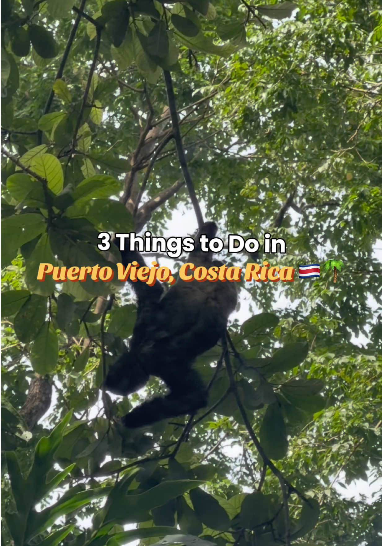 3 things worth doing in Puerto Viejo, Costa Rica! 🇨🇷 1. Hang with Mr. Coconut on Chino...