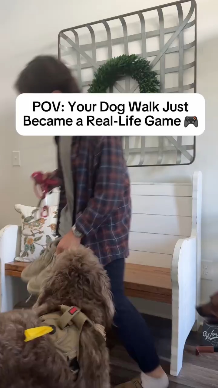 Pet UGC Example