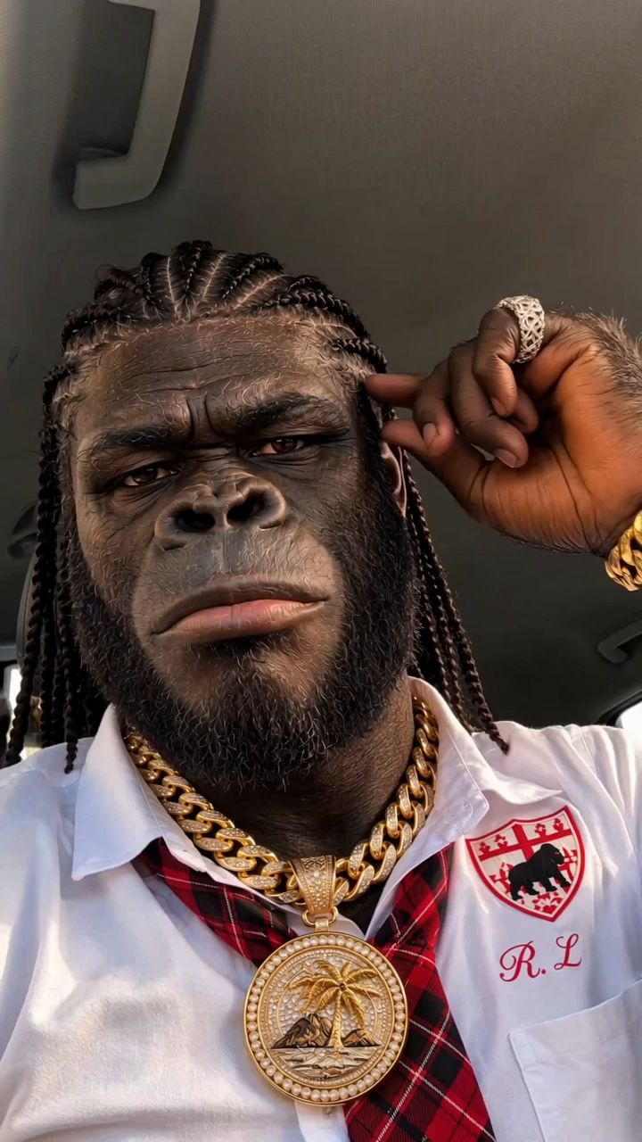 Gorilla Tiktok