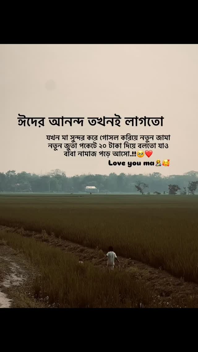 #viralvideos
