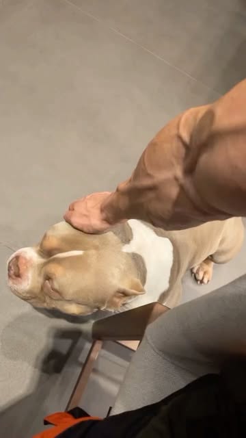 🐶 ❤️