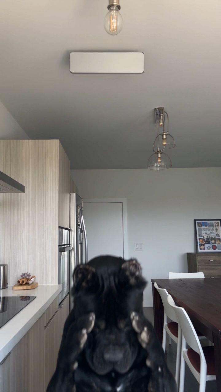 bruno vdeo 1