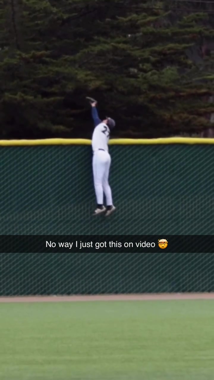 Bro turned into Spider-Man to make that play 😮 (via Csumbbaseball/IG) #baseball #catch #homerun #highlight #sports