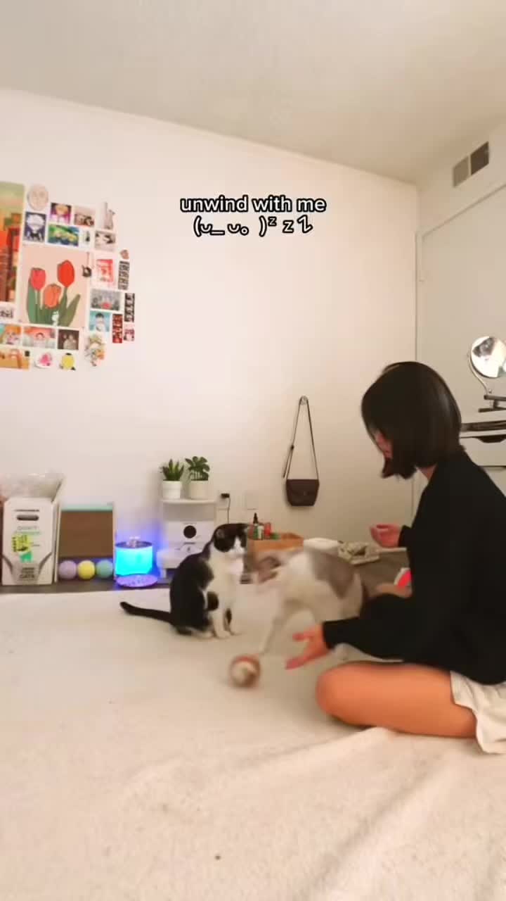 @Litter-Robot by Whisker @socialtiphq Ad