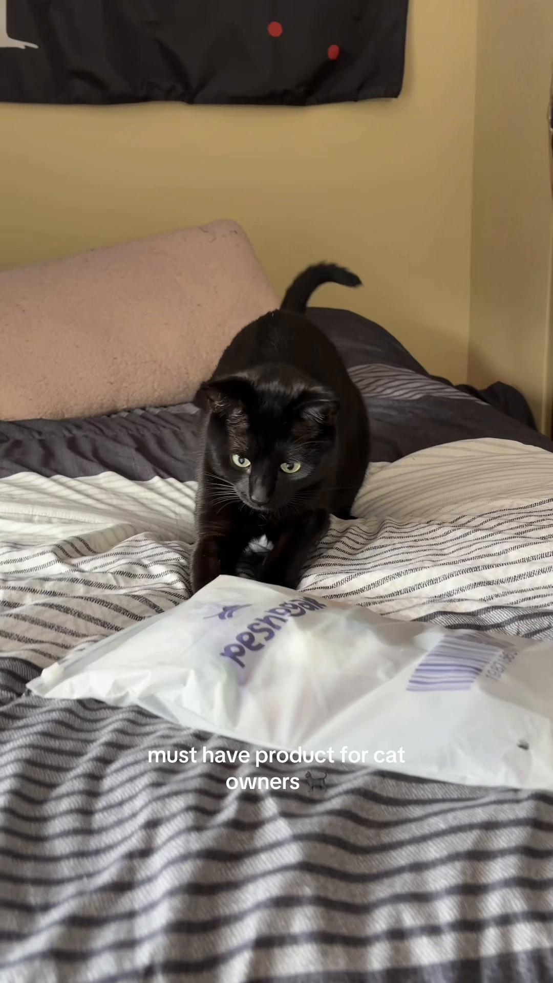 All high energy cats need this! he loves it!! #cattoys #catmom #tiktokshop #creatorsearchinsights #tiktokrecommendations