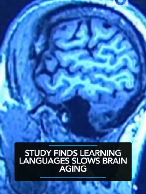 A new study suggests that learning a second language may help delay brain aging by as much as 13 years. #study #brain...
