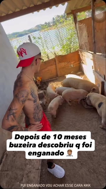 Cara vendeu gato por lebre 😂🤦🏽 #buzeira #liberdade #meme #reelsinstagram