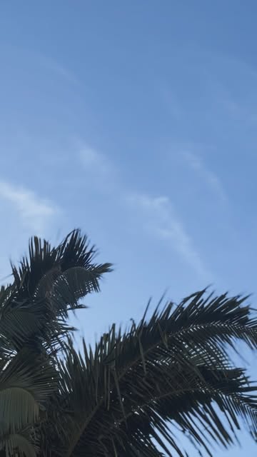 Um dia comum, do jeitinho que eu gosto: um pouco de correria, muitos sorrisos e momentos que fazem tudo valer a pena....