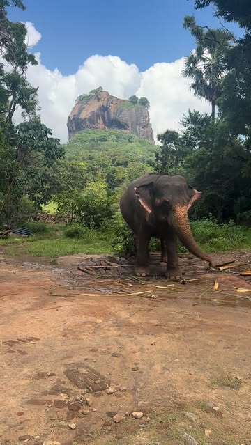 🇱🇰🏝️