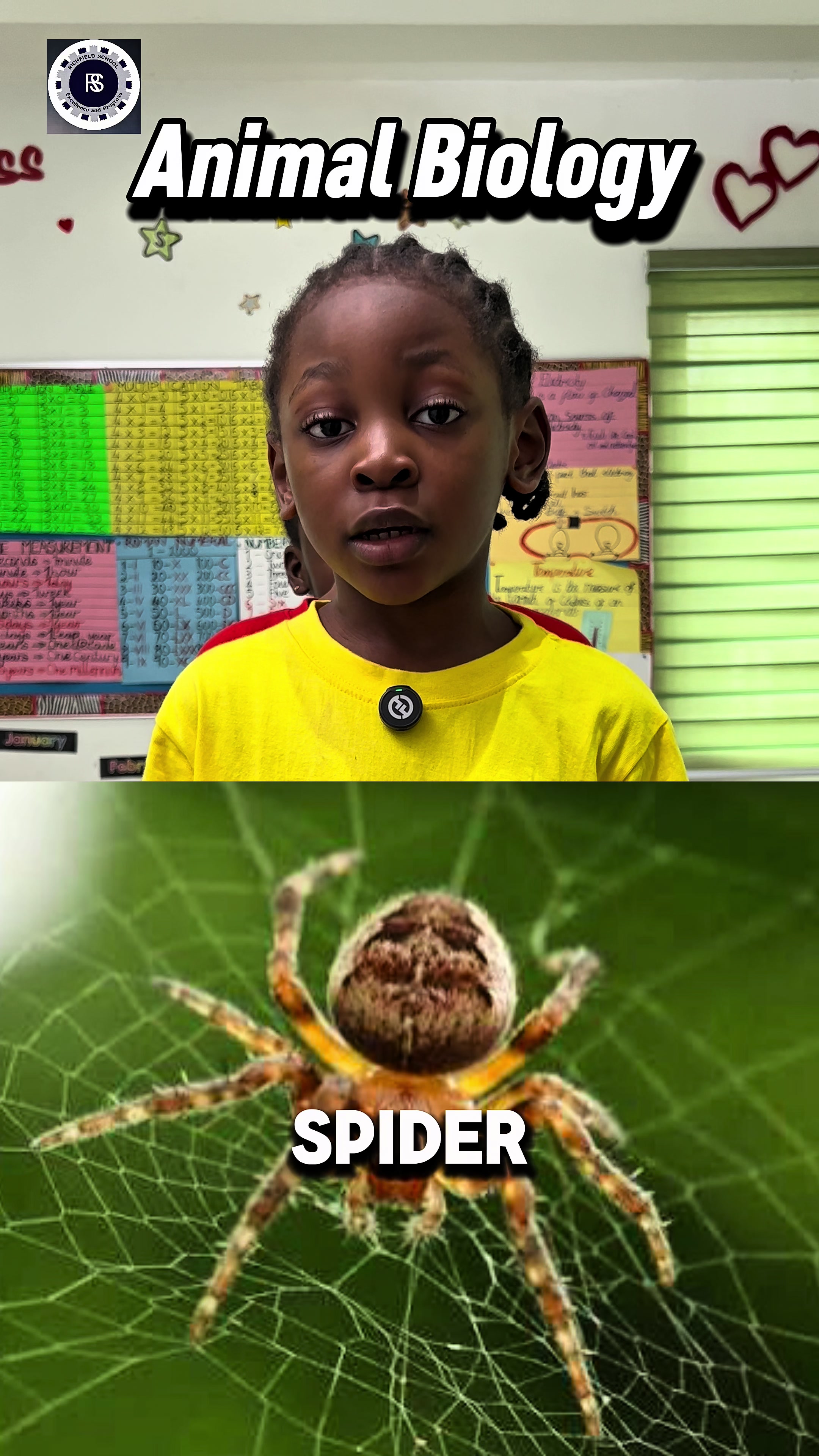 Our pupils explored the fascinating world of Animal Biology, learning about different animals, their characteristics,...
