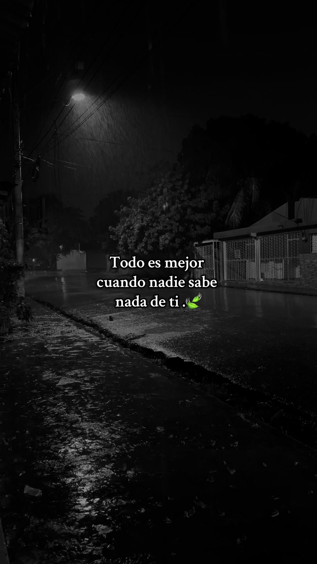 🙌🪼 #vida #frases #morbo_wold