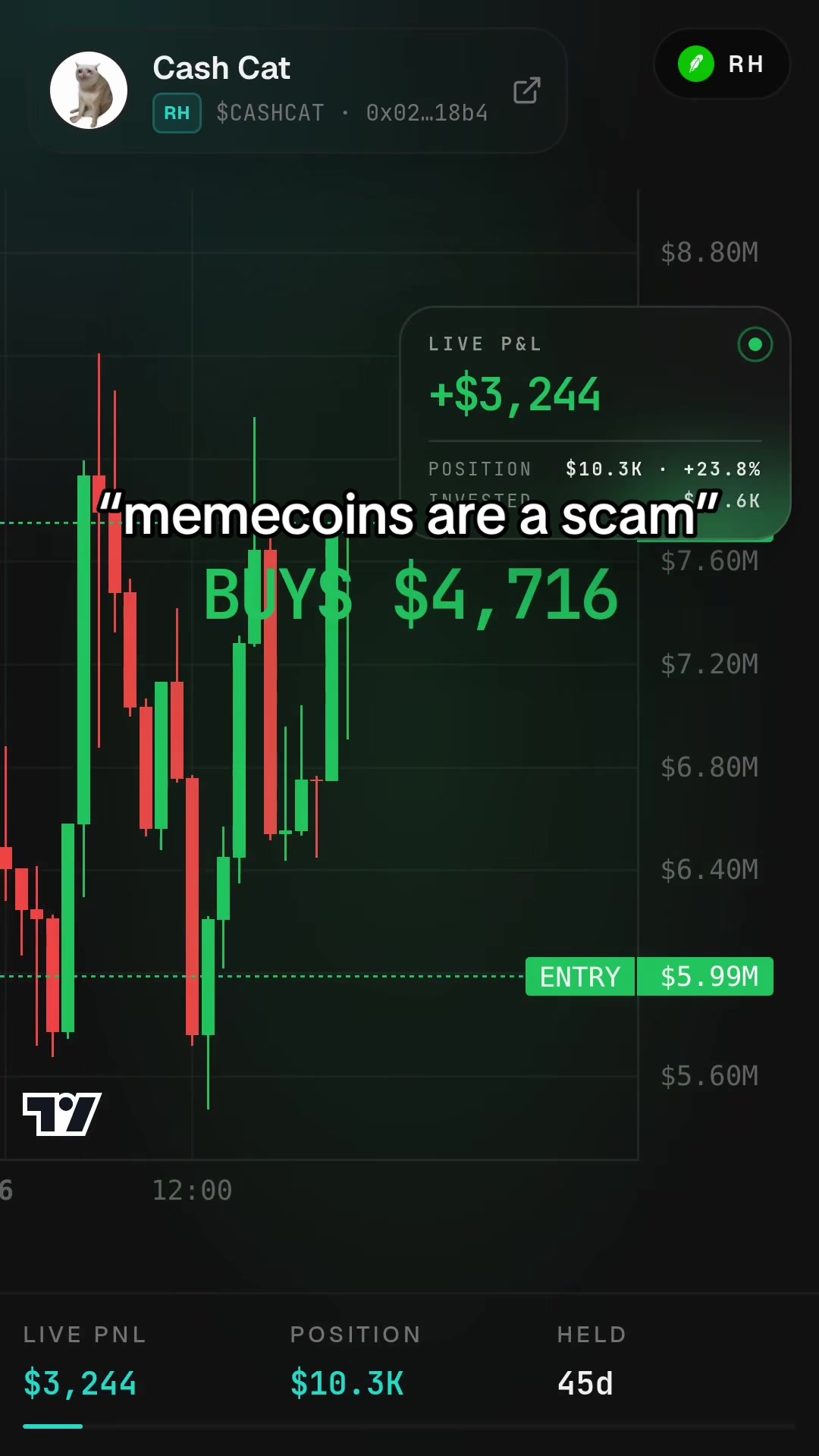 💵🐱 #daytrader #memecoins #solana