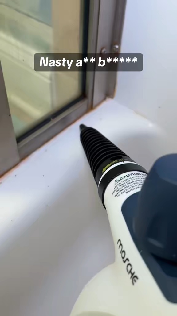 Pressurized Steam Cleaner