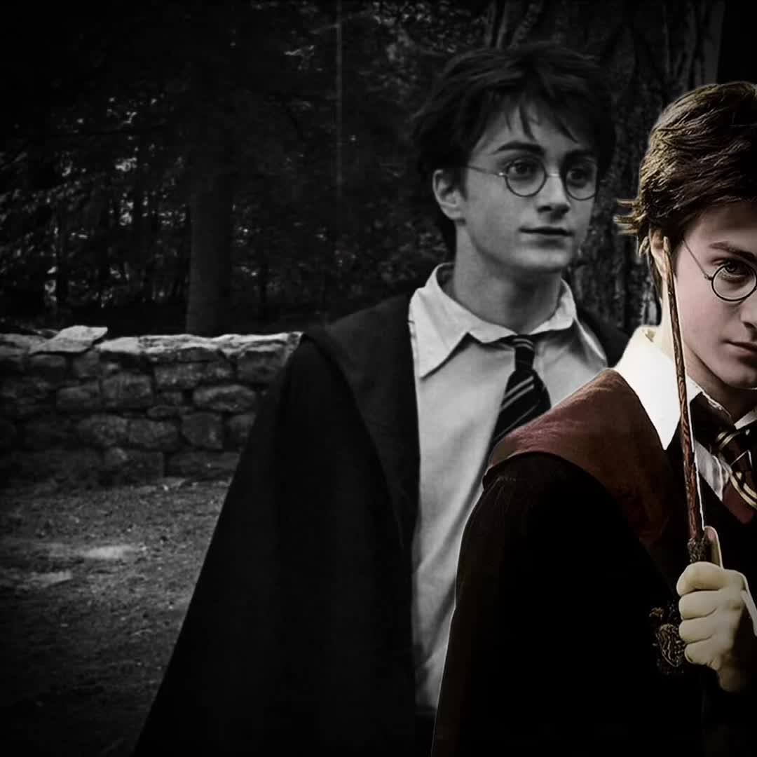 Pick only one person. #editvideo #viral #contentcreator #harrypotter #thekaratekid