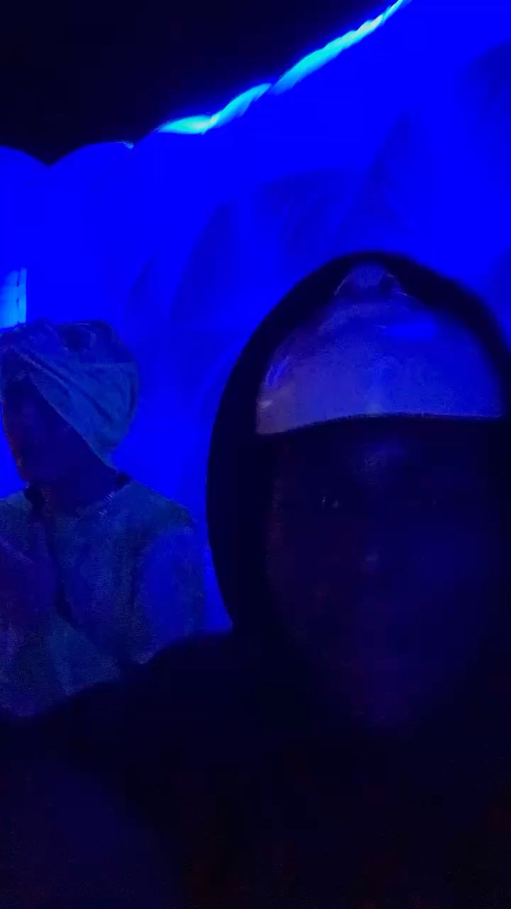 Project x party