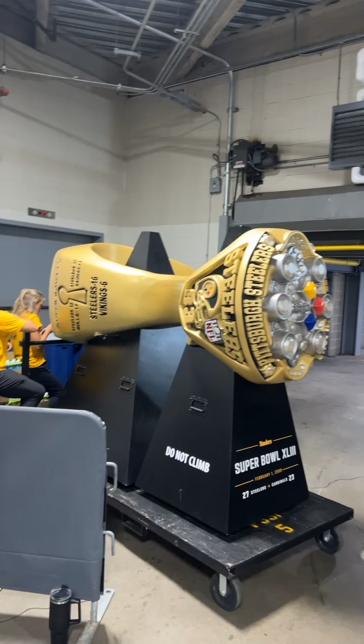 Pittsburgh Steelers to the Super Bowl