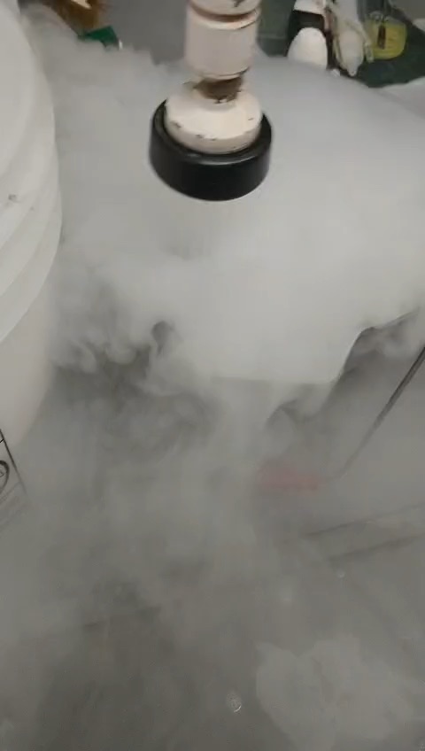 Dry Ice Look Spooky after Final Project are Done