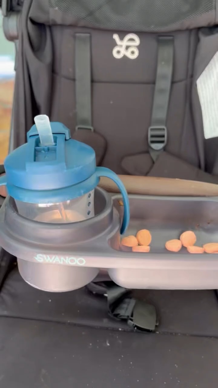 Stroller Tool