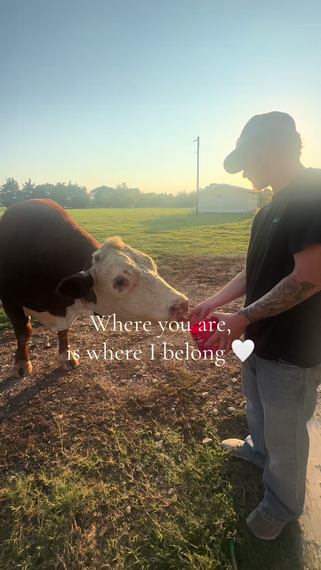 My forever Valentine 🤍 I love you @CodySheffi #valentine #couple #lukecombs