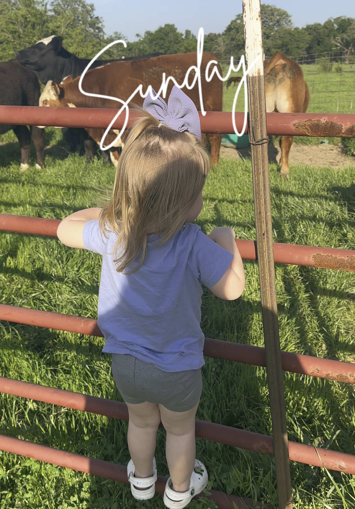Sundays are my favorite days ☀️ #farmtok #farmkid #sunday #cowkid #cowtok