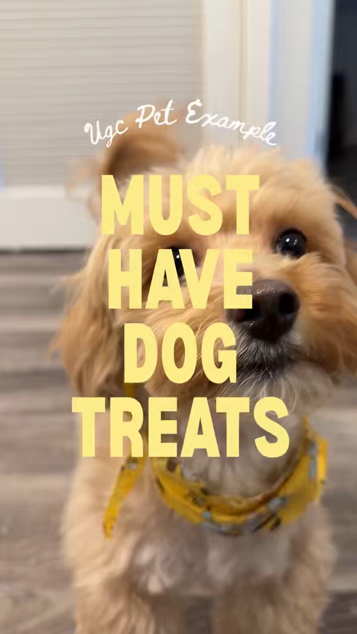 Must Have Dog Treats