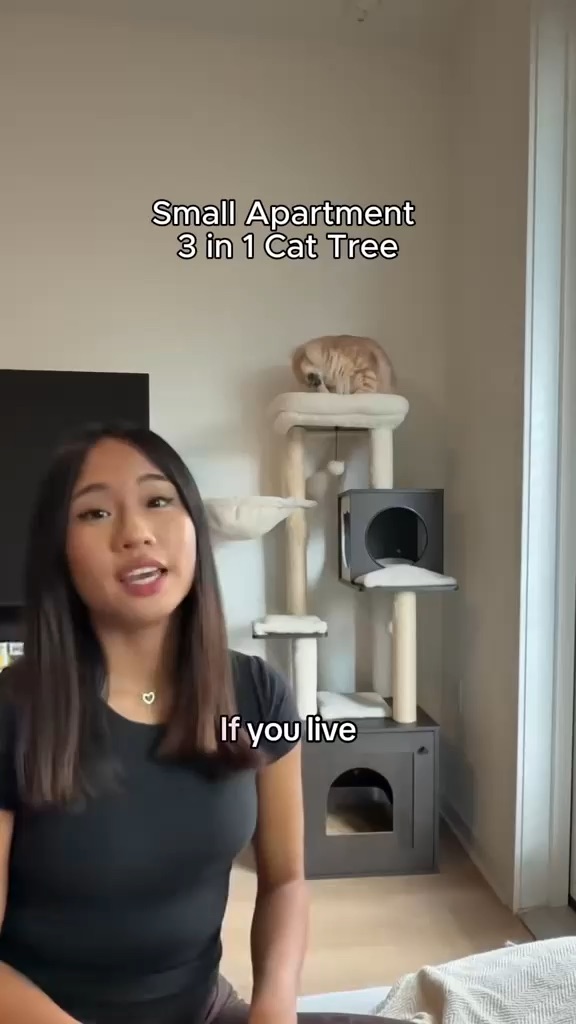 Cat tree UGC