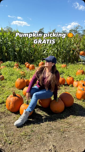 Pumpkin picking gratis is n la farm 🎃 mas mi snack favorito ora el camino 🍂🍁 #snacktok #trufrupartner #foodtok #tr...